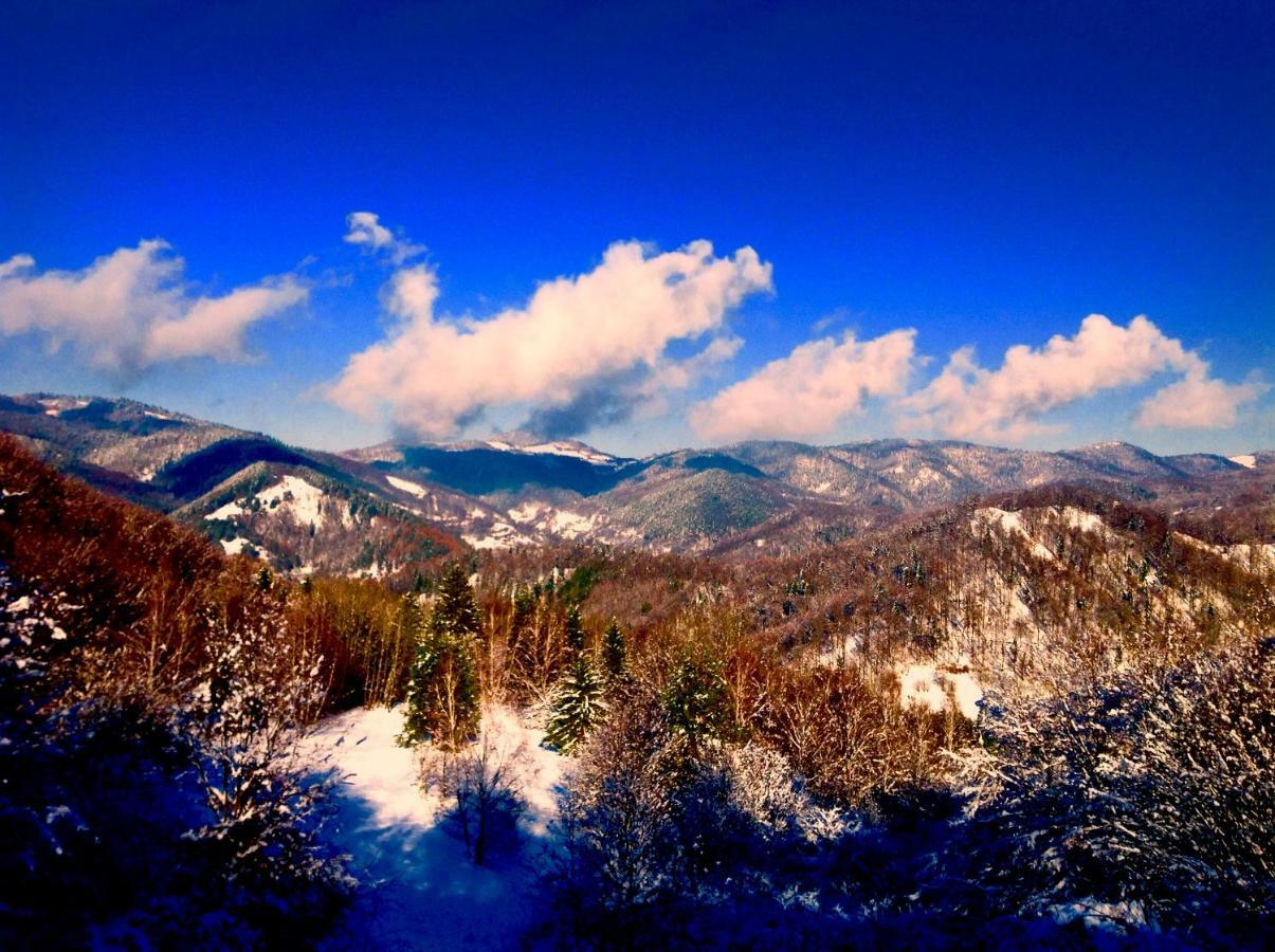 Hodruša Kopanicky Dvor旅馆 外观 照片